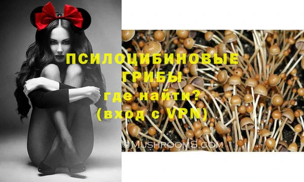 метамфетамин Аркадак