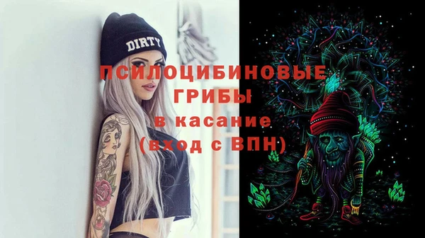 метадон Армянск
