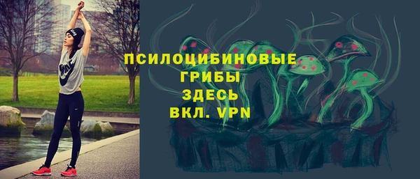 метадон Армянск