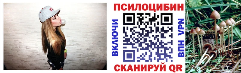 даркнет какой сайт  купить наркотик  Звенигово  Псилоцибиновые грибы Magic Shrooms 